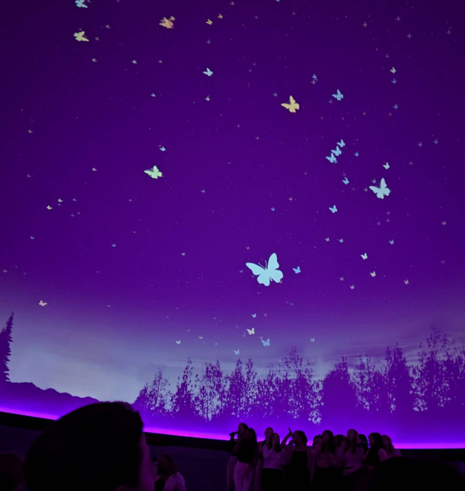 Image of planetarium showing custom butterflies added to the dome