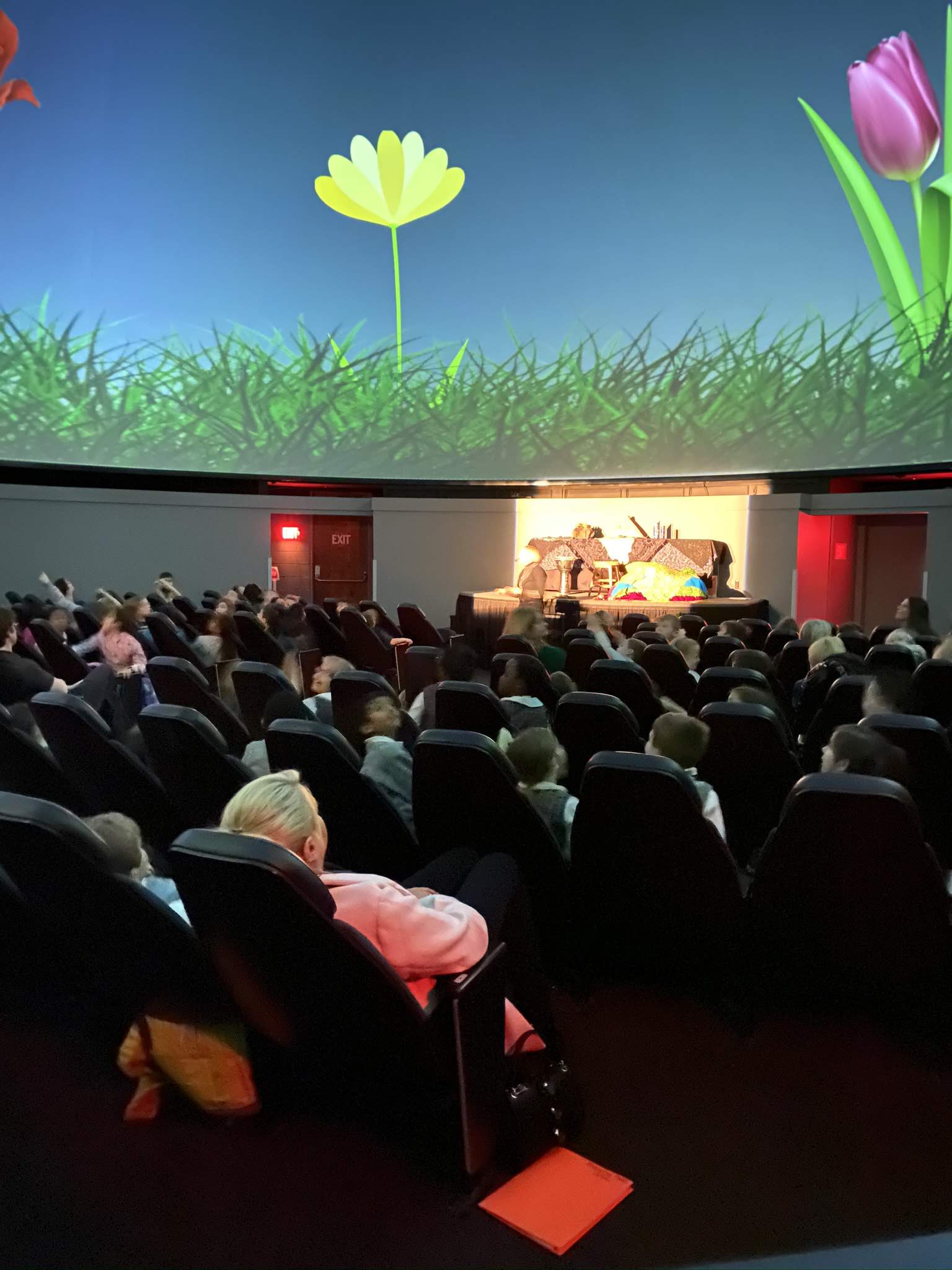 Planetarium theater with red and yellow flowers and grass along horizon
