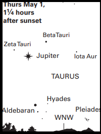 Sky Calendar box showing Jupiter in the constellation Taurus with a landscape on the bottom with trees and hills